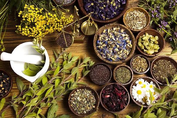Botanical extract ingredients from Nectar Phytochems